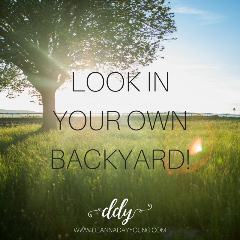 In Your Own Back Yard. | Deanna Day Young